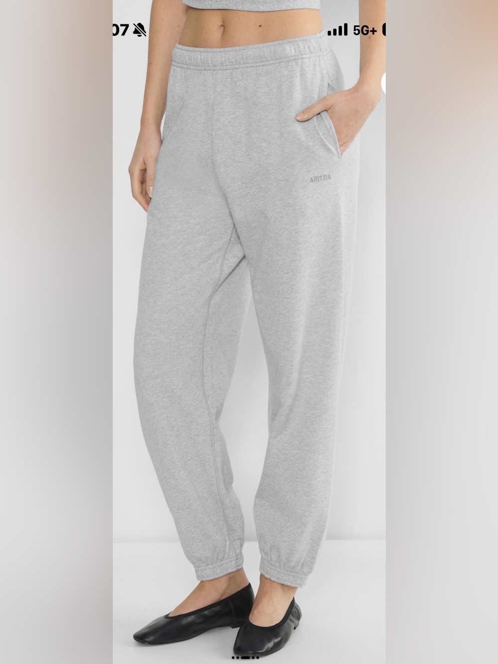 Aritzia Sweatfleece Terry Fleece Mega Jogger – Heather Chrome – 2XS – NWT - Picture 7 of 7
